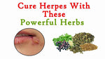 Herpes Relief Herbal Blend (HSV Cleanse)
