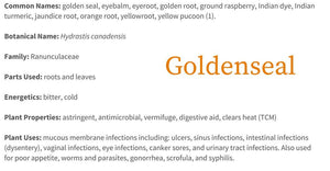 Echinacea & Goldenseal