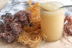 Sea Moss Gel Wildcrafted