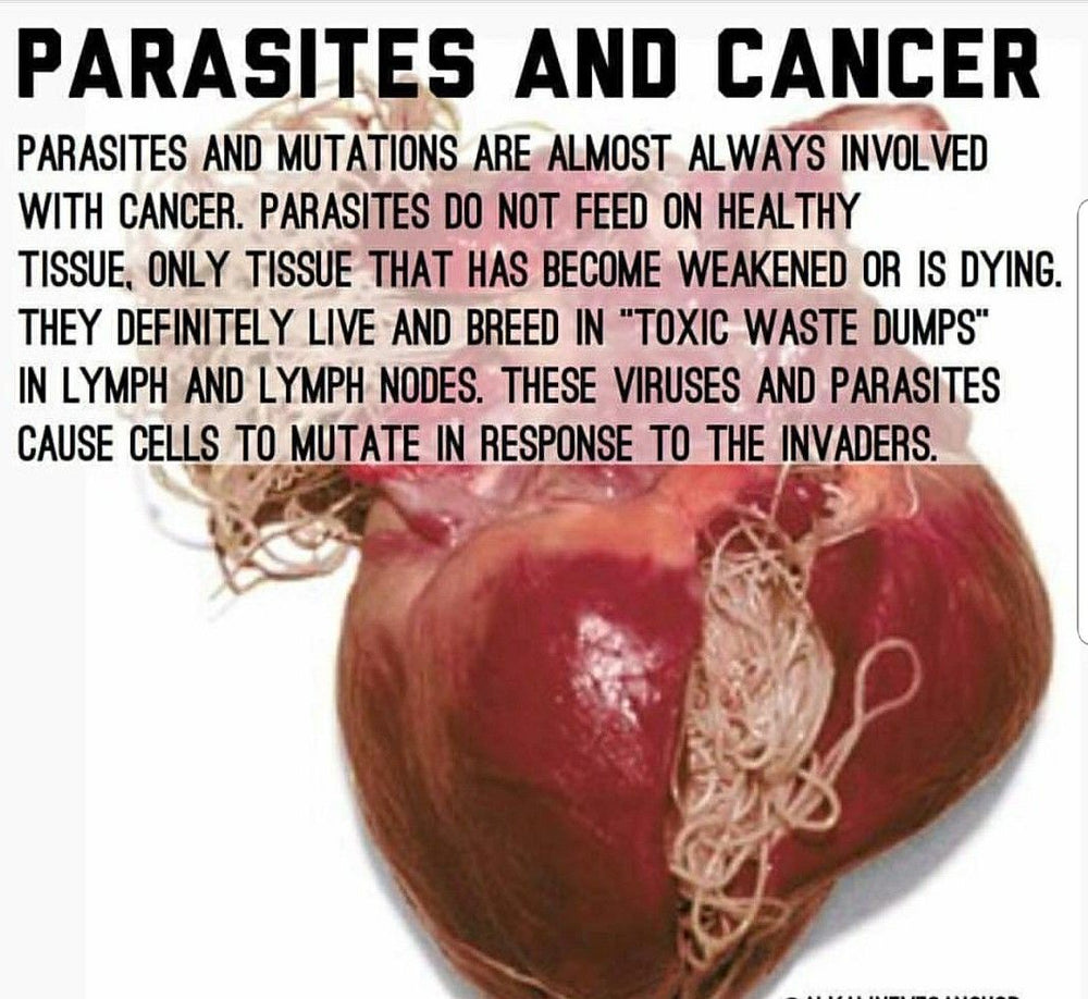Parasite Cleanse Detox